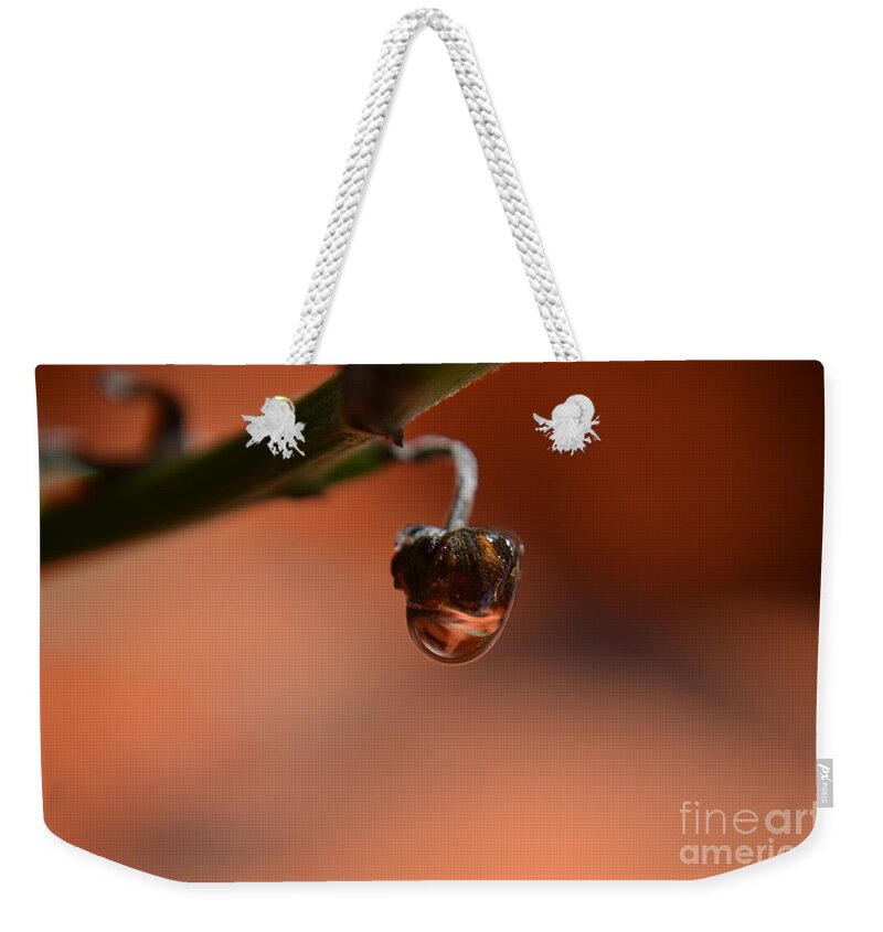 Michelle Meenawong Weekender Tote Bag featuring the photograph Hanging by Michelle Meenawong