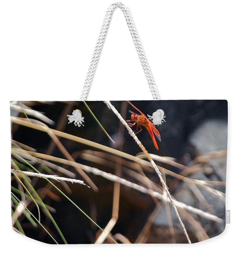 Dragonfly Weekender Tote Bag featuring the photograph Hanging On by Michele Myers