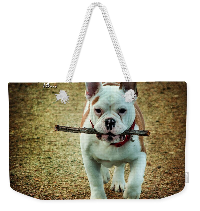 Cute Weekender Tote Bag featuring the photograph Happiness Is by Jordan Blackstone