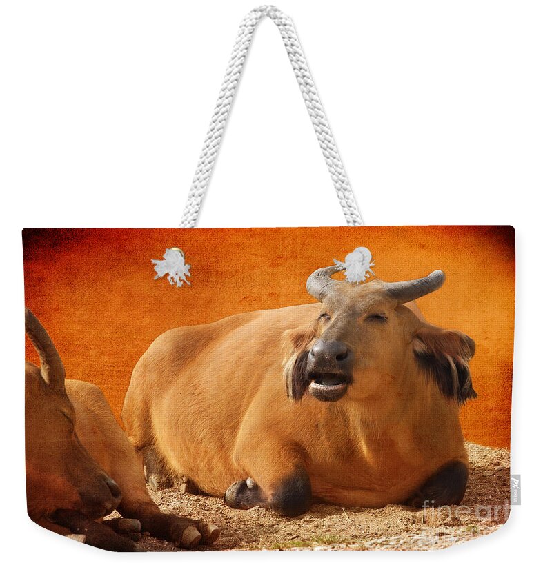 Congo Buffalo Weekender Tote Bag featuring the photograph Happy Congo Buffalo by Terri Waters