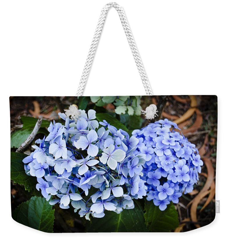 Baby Blue Weekender Tote Bag featuring the photograph Happy Hydrangea by Christi Kraft