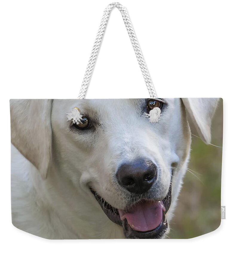 Dog Weekender Tote Bag featuring the photograph Happy Lab by Stephen Anderson