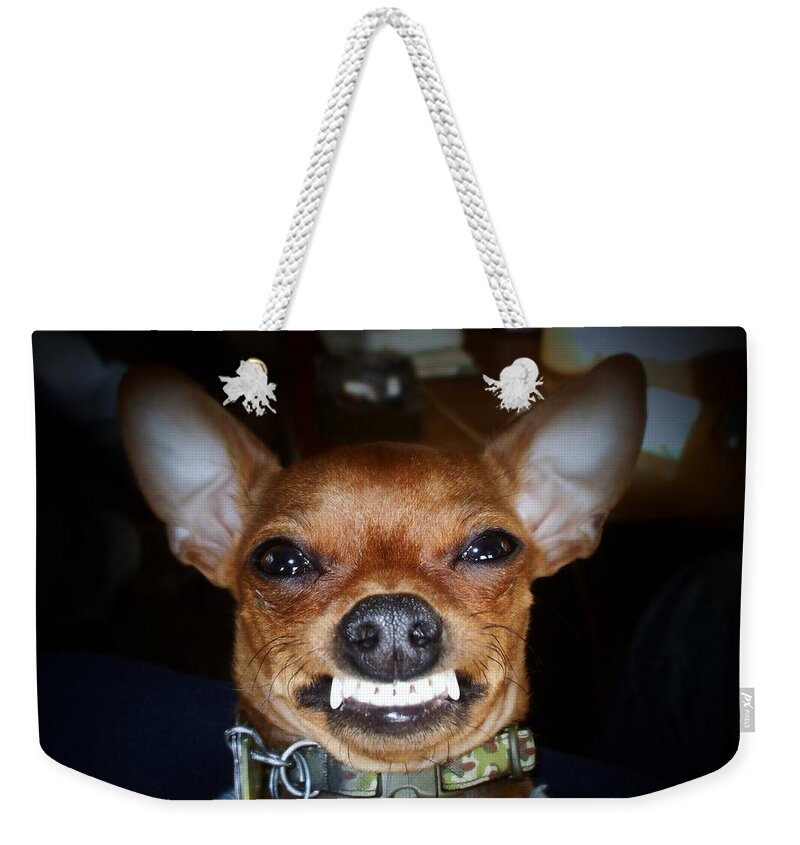 Chihuahua Weekender Tote Bag featuring the photograph Happy Max by Shana Rowe Jackson