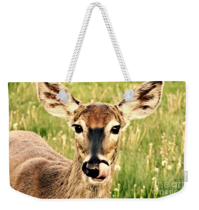 Deer Weekender Tote Bag featuring the photograph Happy by Tami Quigley