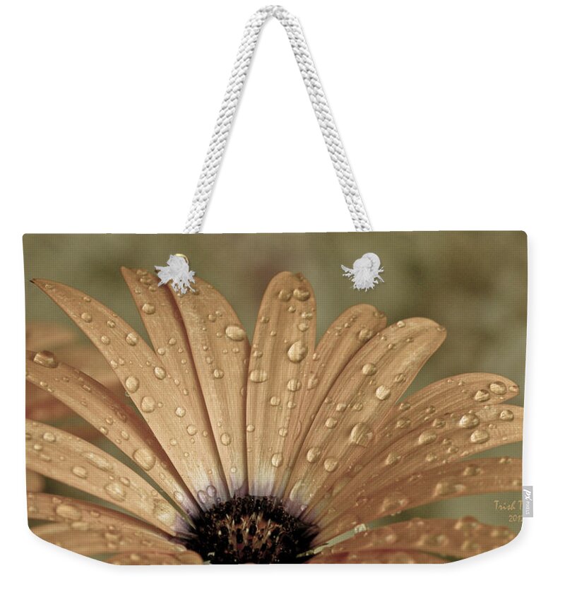 Flower Weekender Tote Bag featuring the photograph Happy To Be A Raindrop by Trish Tritz