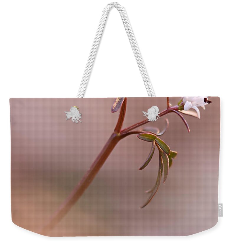 Flower Weekender Tote Bag featuring the photograph Harbinger of Spring by Robert Charity