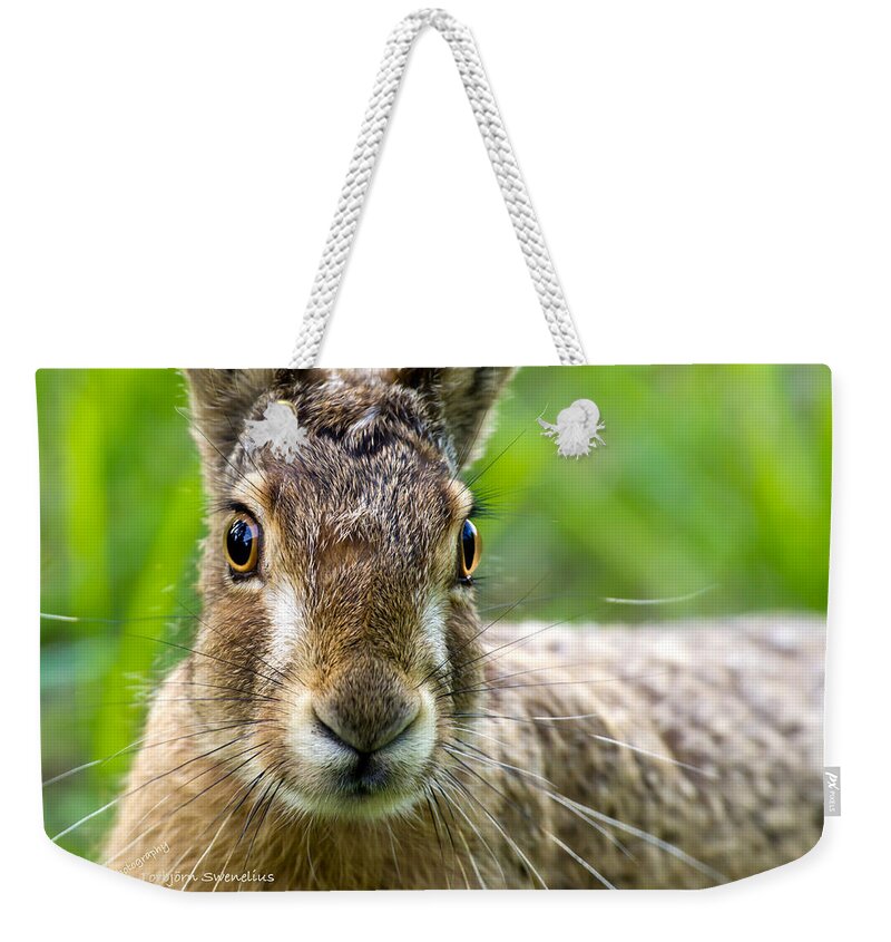 Hare Portrait Weekender Tote Bag featuring the photograph Hare Portrait by Torbjorn Swenelius