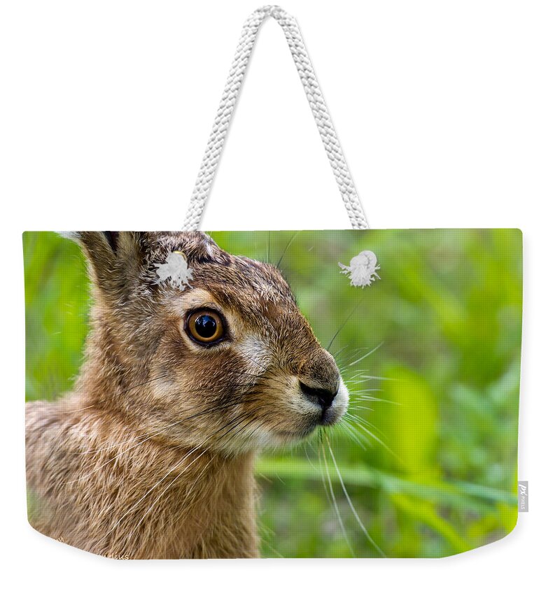Hare Weekender Tote Bag featuring the photograph Hare by Torbjorn Swenelius