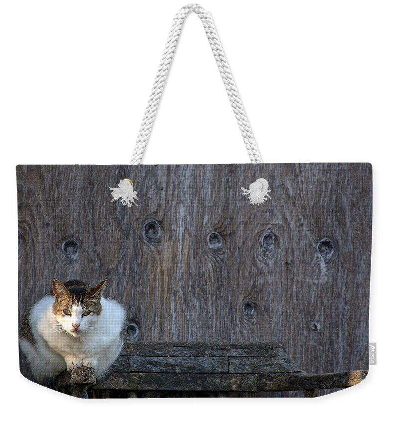 Harlequin Weekender Tote Bag featuring the photograph Harlequin Rustic by Chriss Pagani
