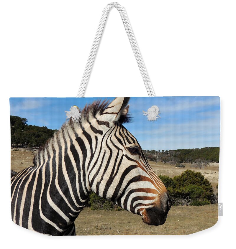 Zebra Weekender Tote Bag featuring the photograph Hartmann's Mountain Zebra - Profile by Jayne Wilson