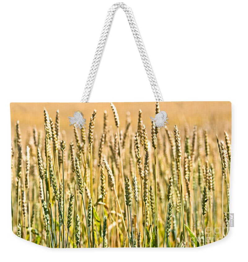 Wheat Weekender Tote Bag featuring the photograph Harvest Time by Cheryl Baxter