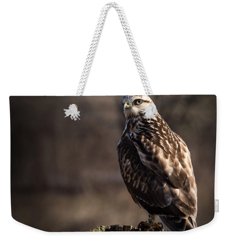 Rough-legged Hawk Weekender Tote Bag featuring the photograph Hawk On A Post by Randy Hall