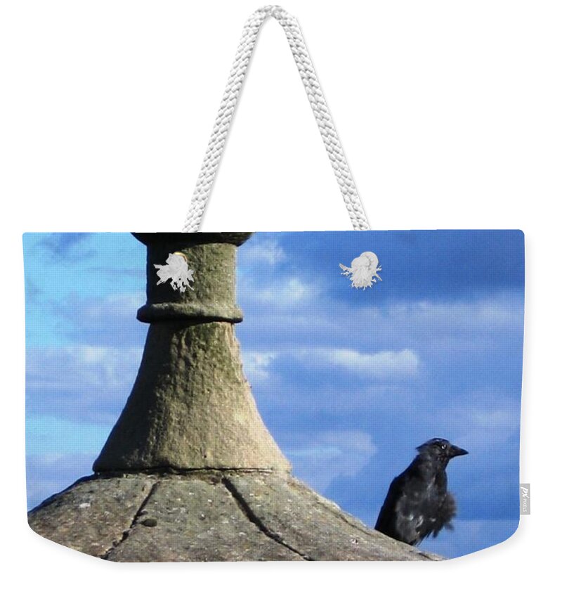 Architecture Weekender Tote Bag featuring the photograph He Has An Accent by Denise Railey