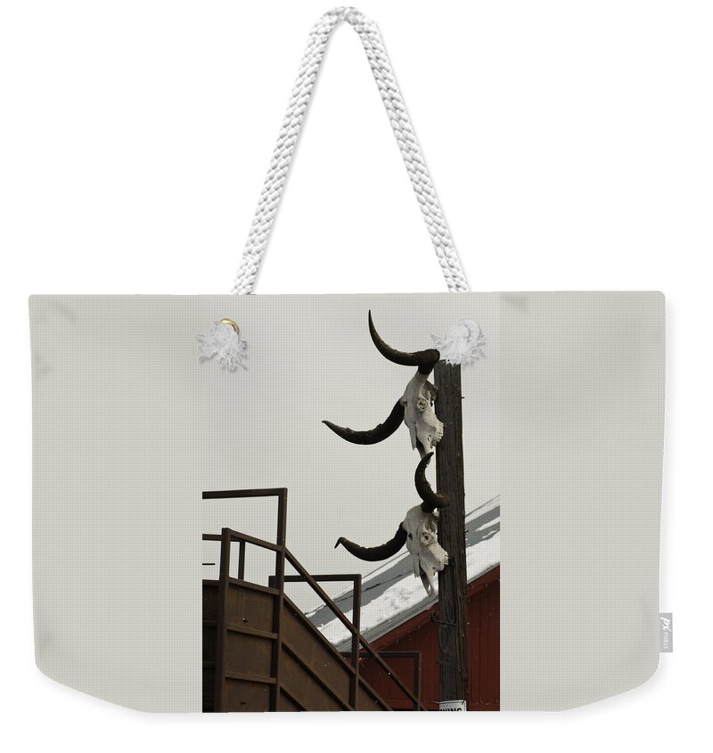 Head� Em Up N Move� Em Out! Texas Long Horn Skulls Weekender Tote Bag featuring the photograph Head em Up n Move em Out by Daniel Hebard