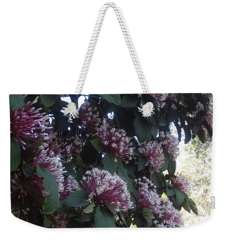  Weekender Tote Bag featuring the photograph Healing by Richard Laeton