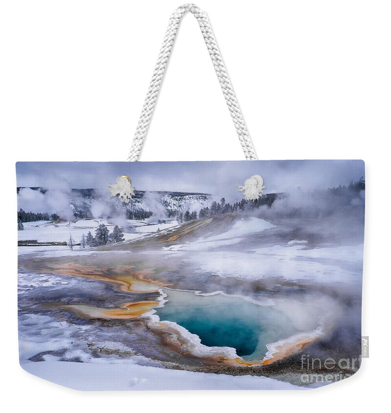 Heart Spring Weekender Tote Bag featuring the photograph Heart Spring by Priscilla Burgers