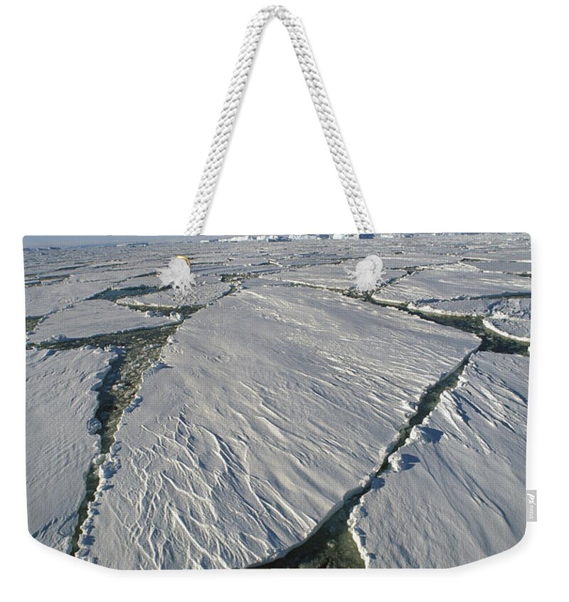 Feb0514 Weekender Tote Bag featuring the photograph Heavy Pack Ice And Icebergs Antarctica by Colin Monteath