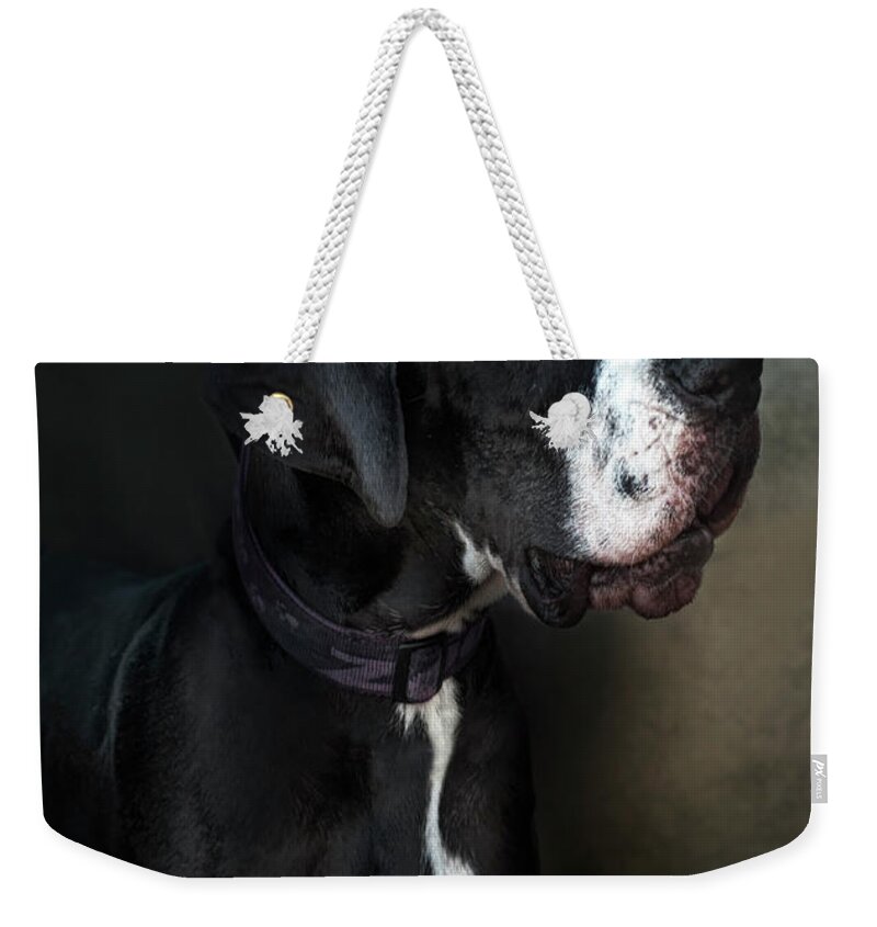 Pets Weekender Tote Bag featuring the photograph Helga by Silversaltphoto.j.senosiain