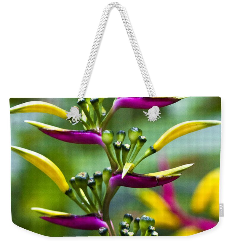 Heliconia Weekender Tote Bag featuring the photograph Heliconia subulata II by Heiko Koehrer-Wagner