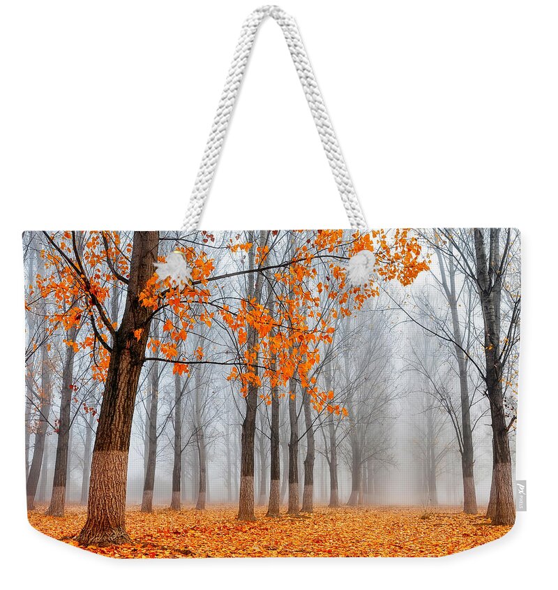 Bulgaria Weekender Tote Bag featuring the photograph Heralds Of Autumn by Evgeni Dinev