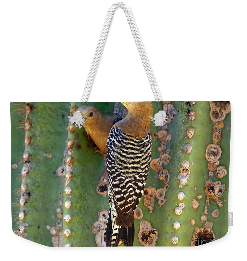Cactus Weekender Tote Bag featuring the photograph Here's lunch by Bob Hislop