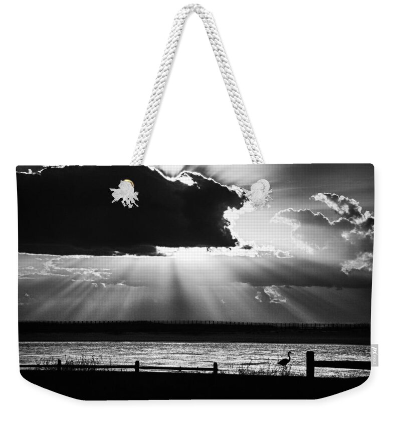 Alabama Weekender Tote Bag featuring the photograph Heron and the Cloudburst by Michael Thomas