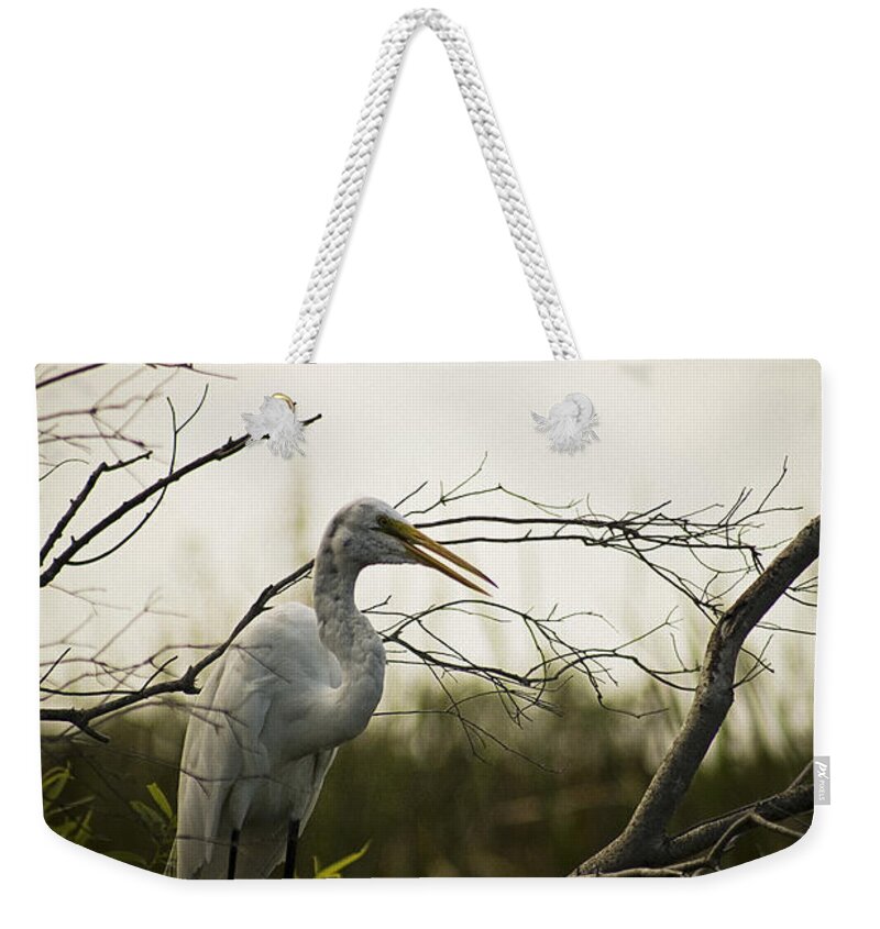 Egret Weekender Tote Bag featuring the photograph Heron At Dusk by Bradley R Youngberg