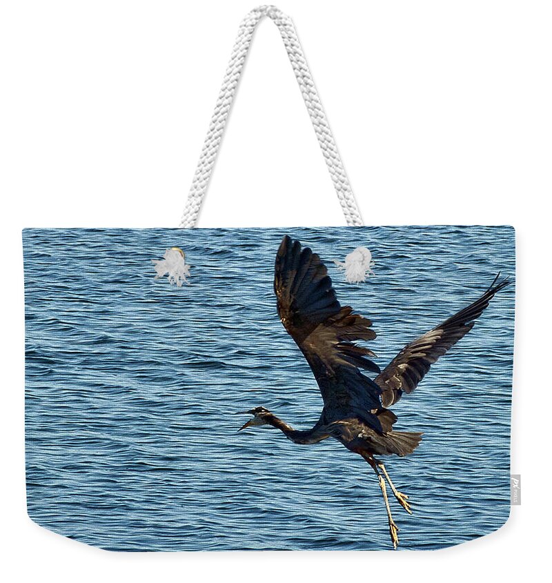 Heron Weekender Tote Bag featuring the photograph Heron in Flight by Ron Roberts