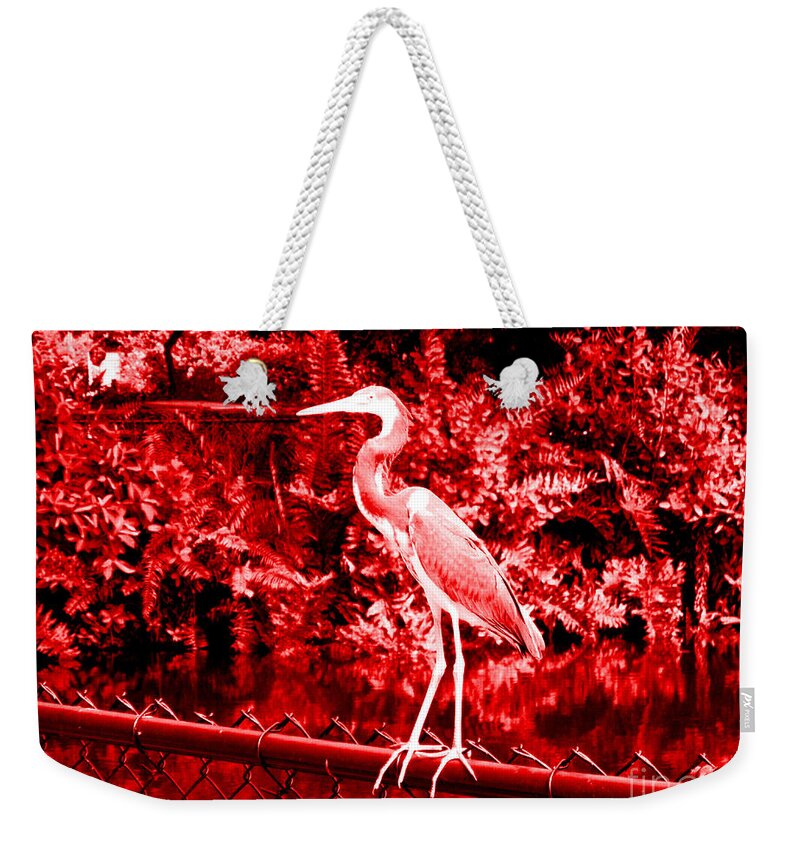 Nature Weekender Tote Bag featuring the photograph Heron in red. Bird by Oksana Semenchenko