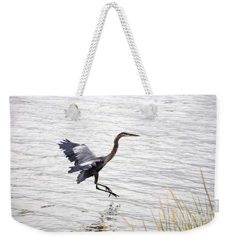 Crane Weekender Tote Bag featuring the photograph Great Blue Heron Landing in Shallow Water by William Kuta