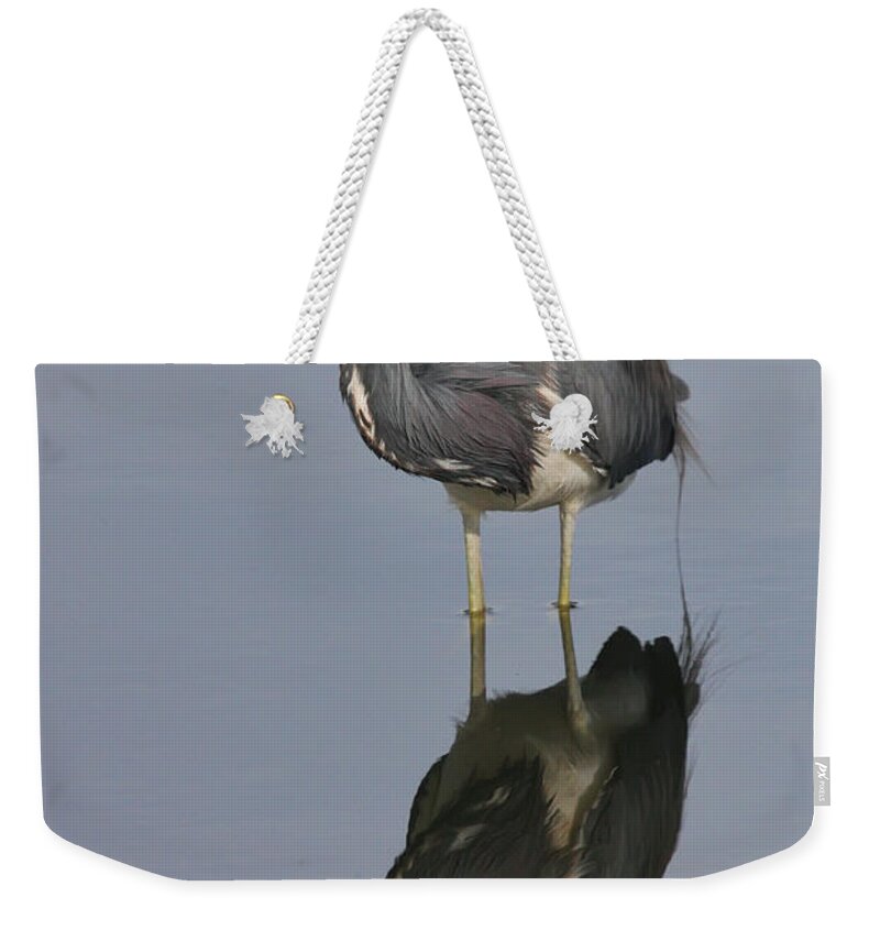 Heron Weekender Tote Bag featuring the photograph Heron Reflections by Jayne Carney