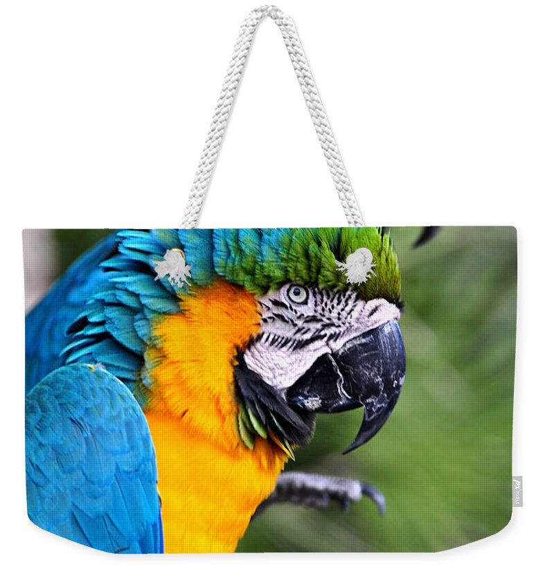 Birds Weekender Tote Bag featuring the photograph He's Always Hogging The Spotlight by Kathy Baccari