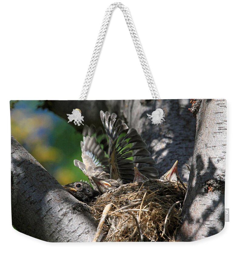 American Robin Weekender Tote Bag featuring the photograph Hey - Can You Move Over? by Donna Kennedy