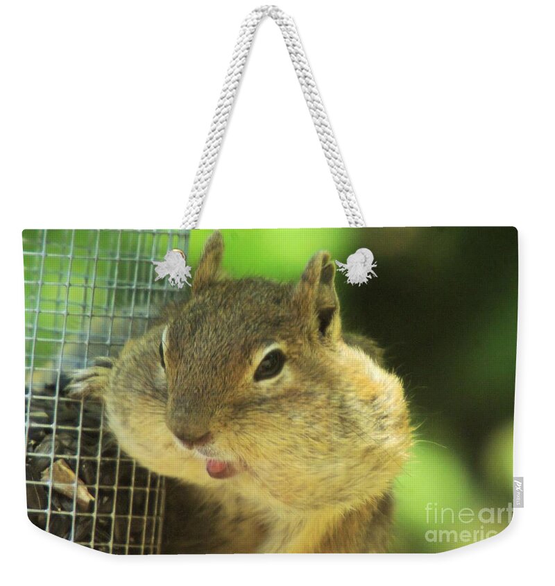 Squirrels Weekender Tote Bag featuring the photograph Hey Check Out My Big Cheeks by Jeff Swan