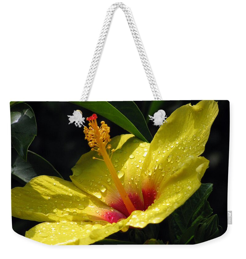 Hibiscus Weekender Tote Bag featuring the photograph Hibiscus - After The Rain - 04 by Pamela Critchlow