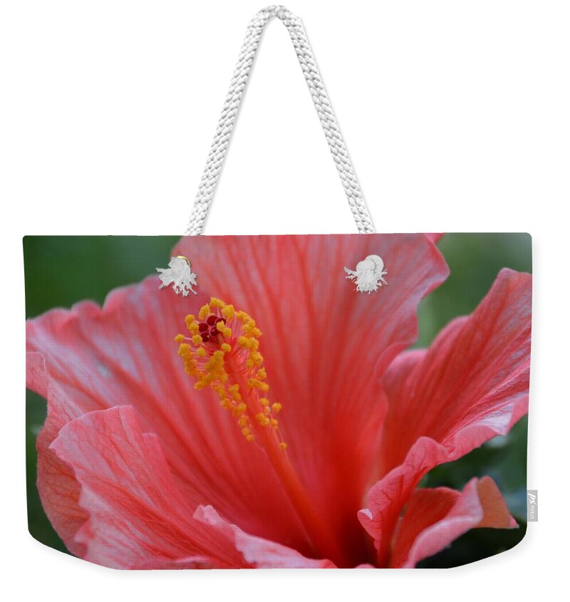 Hibiscus Weekender Tote Bag featuring the photograph Hibiscus Beauty by Linda Bailey