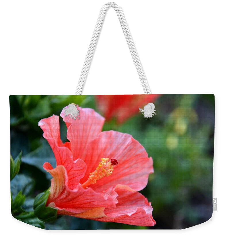 Hibiscus Weekender Tote Bag featuring the photograph Hibiscus summer by Linda Bailey