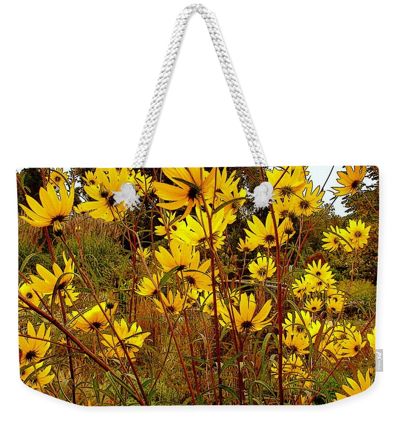 Fine Art Weekender Tote Bag featuring the photograph Hidden Foot Bridge by Rodney Lee Williams