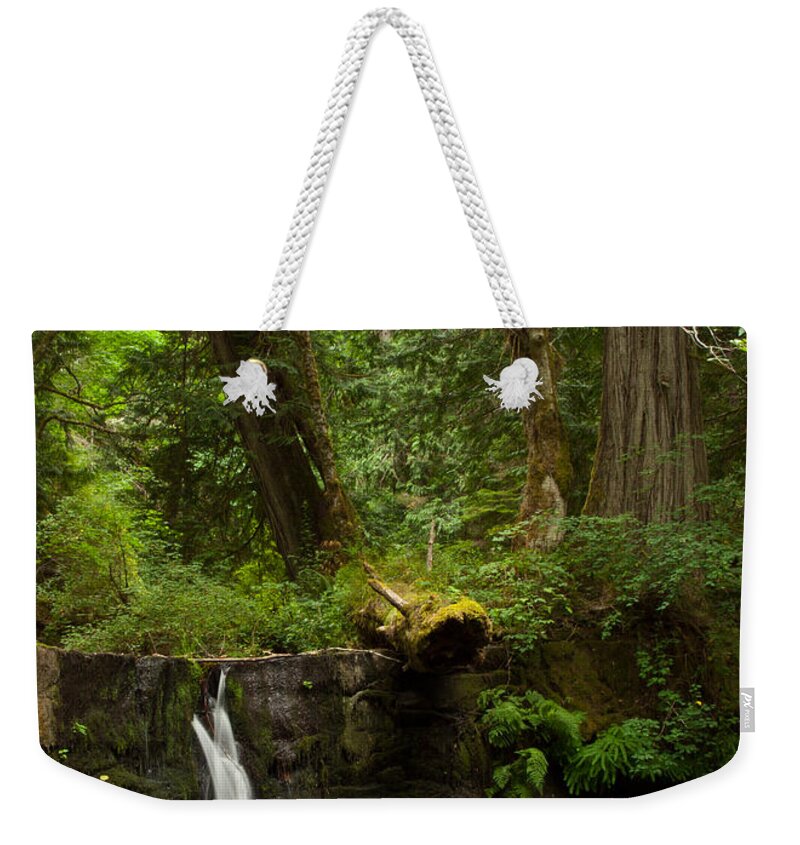 Water Weekender Tote Bag featuring the photograph Hidden Gem by Randy Hall