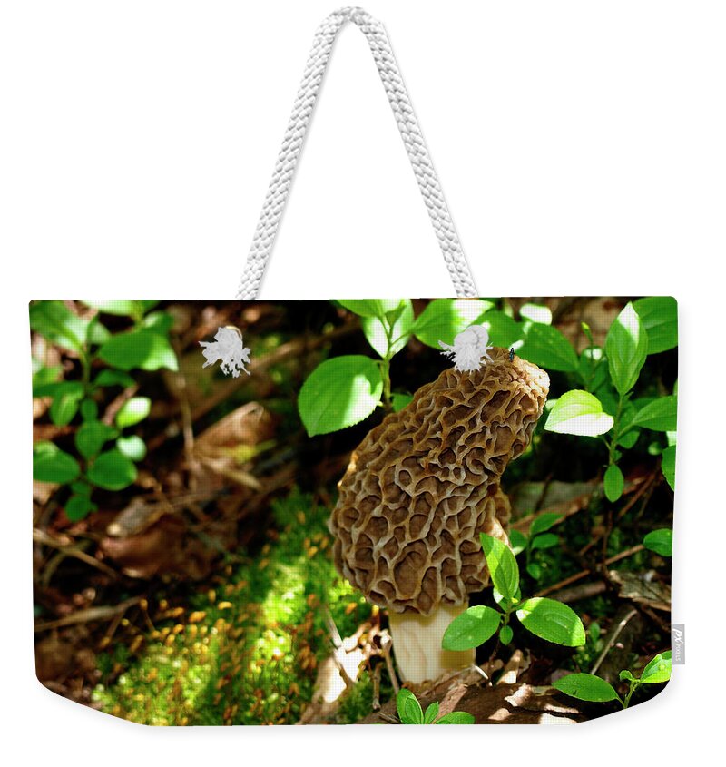 Morel Weekender Tote Bag featuring the photograph Hidden Morel  by Thomas Young
