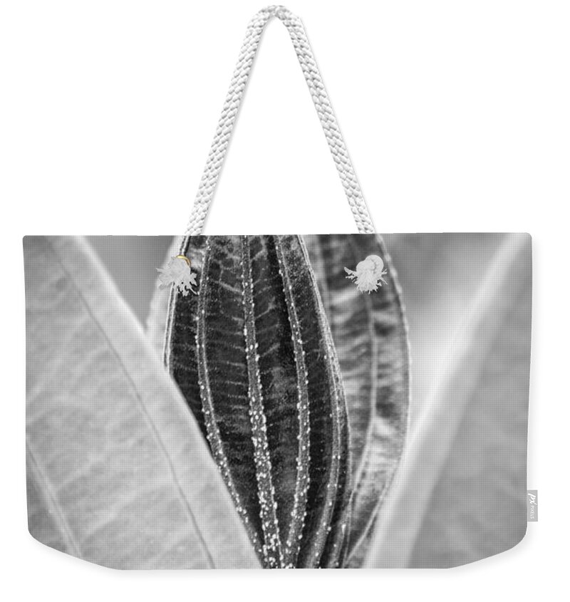 Leaves Weekender Tote Bag featuring the photograph Hiding In The Green BW by Carolyn Marshall