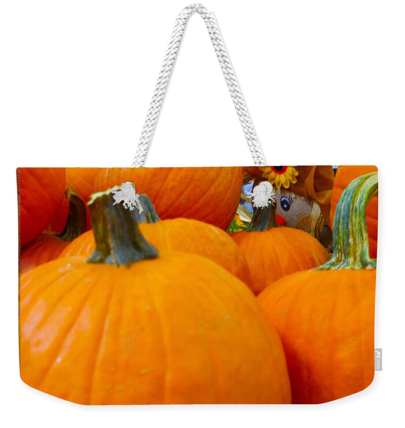 Pumpkins Weekender Tote Bag featuring the photograph Hiding in the Pumpkin Patch by Judy Hall-Folde