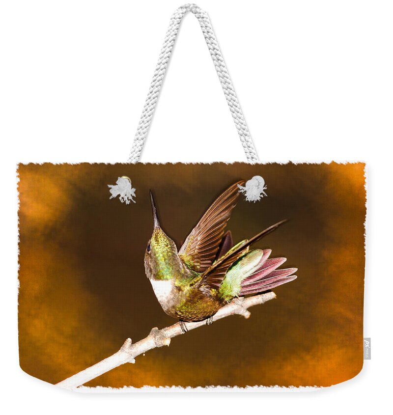 High Definition Weekender Tote Bag featuring the photograph High Definition Hummer by Randall Branham