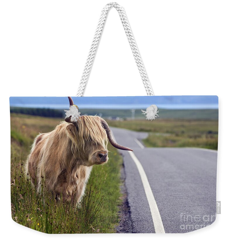 Cow Weekender Tote Bag featuring the photograph Highland Cow by David Lichtneker