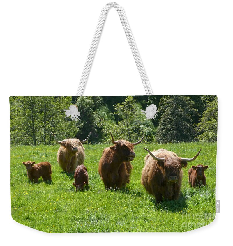 Highland Cattle Weekender Tote Bag featuring the photograph Highland cows and calves - Glenlivet - Scotland by Phil Banks