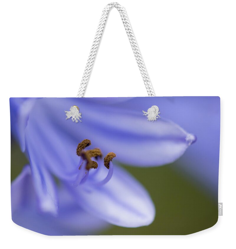 Blue Weekender Tote Bag featuring the photograph Highly Evolved by Alex Lapidus