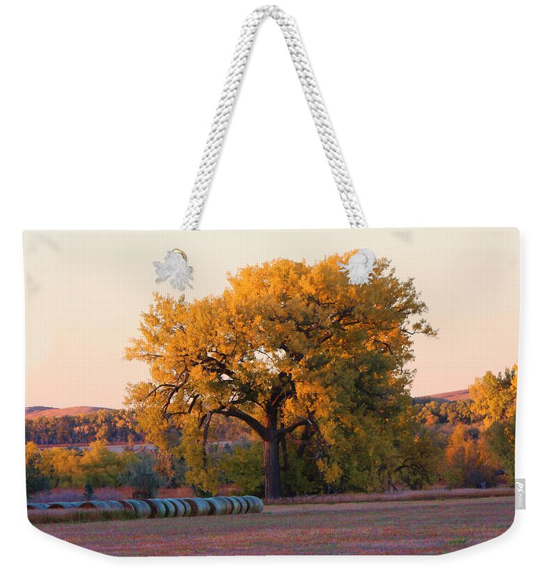 Autumn Trees Weekender Tote Bag featuring the photograph Hills and Hay Bales by Sylvia Thornton