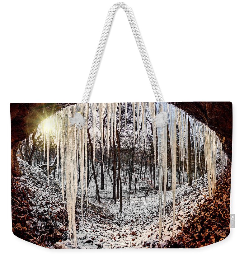 2012 Weekender Tote Bag featuring the photograph Hinding from winter by Robert Charity