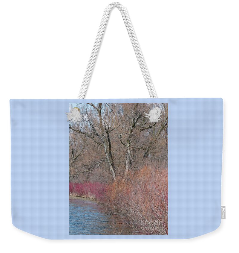 Spring Weekender Tote Bag featuring the photograph Hint of Spring by Ann Horn