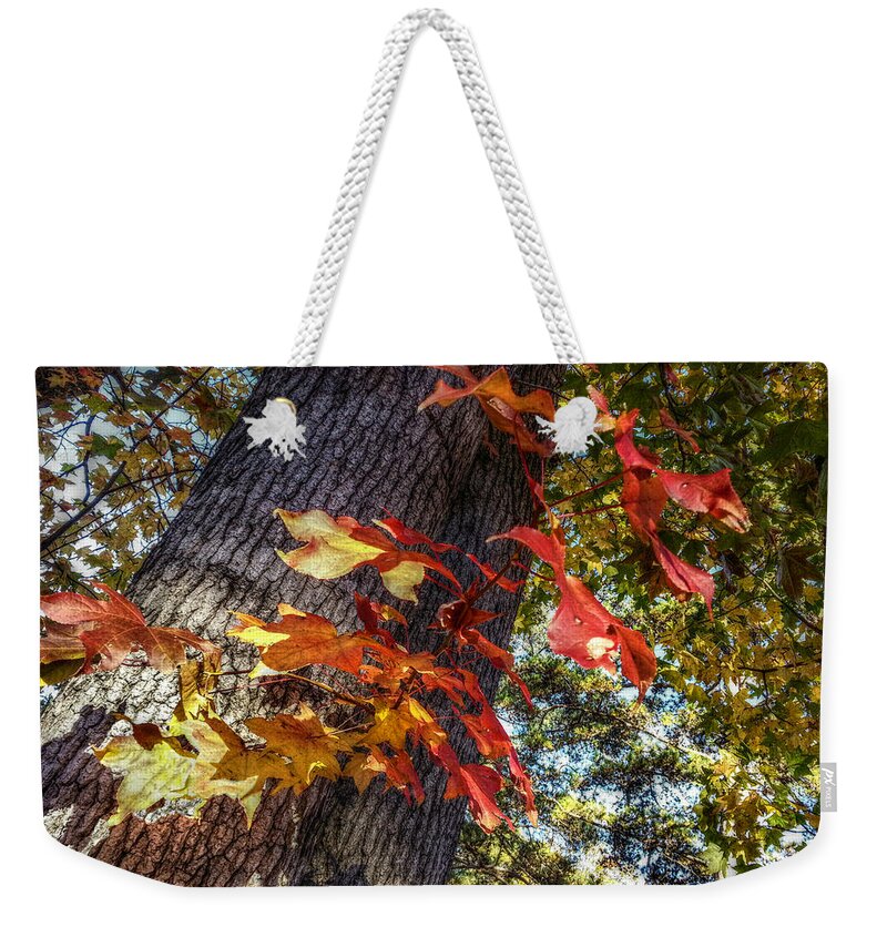 Red Leaves Weekender Tote Bag featuring the digital art Hints of Fall by Linda Unger
